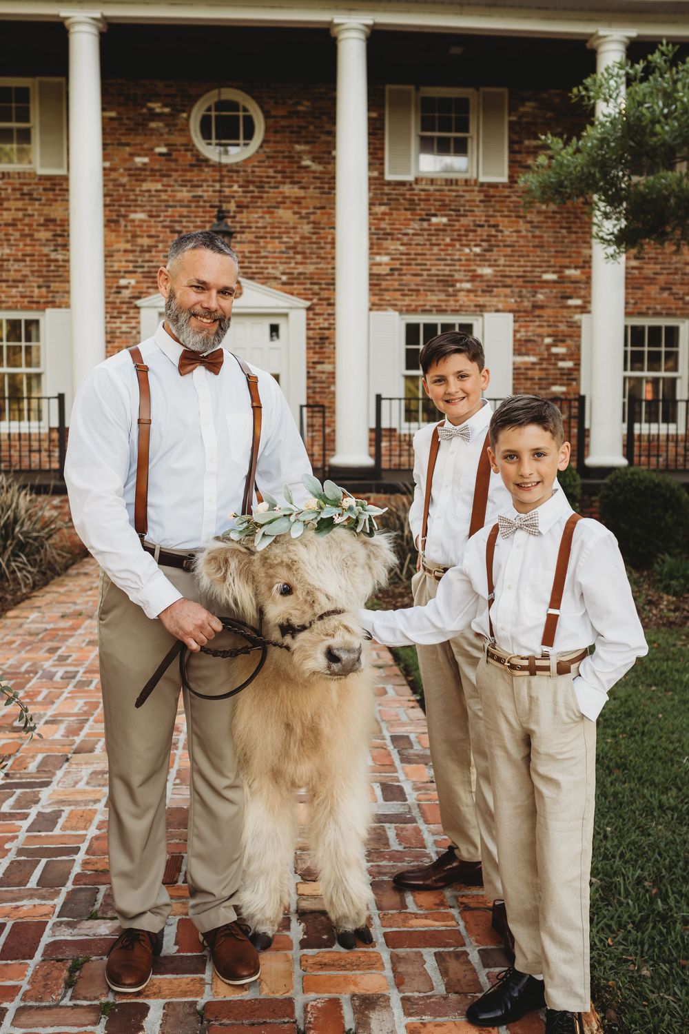 Groom and groomsmen with Highland cows during golden hour in Florida