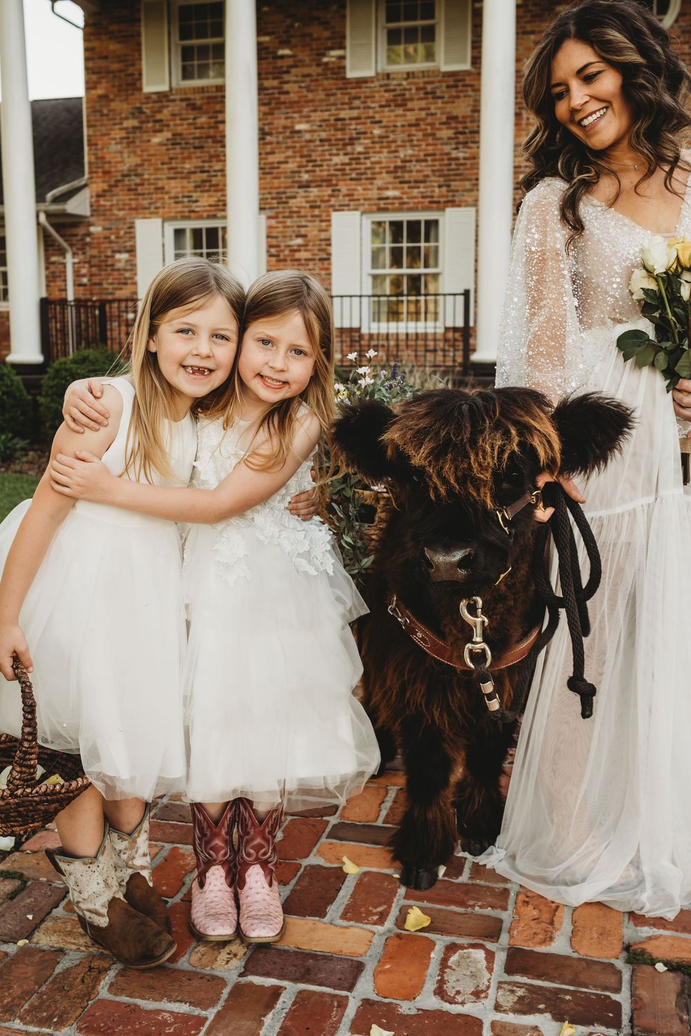 Bride interacting with Highland cow at sunset wedding
