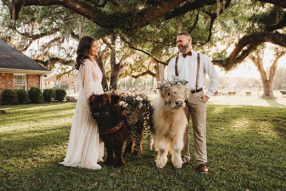 Wedding styling with cows and neutral spring florals