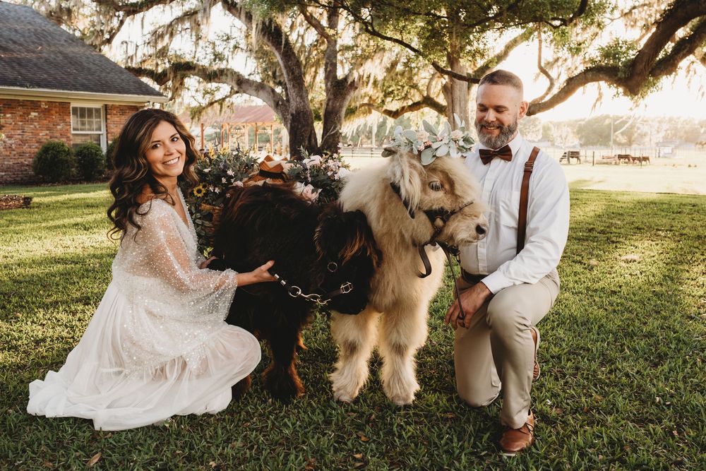 soft, dreamy wedding portraits in a Florida field at sunset