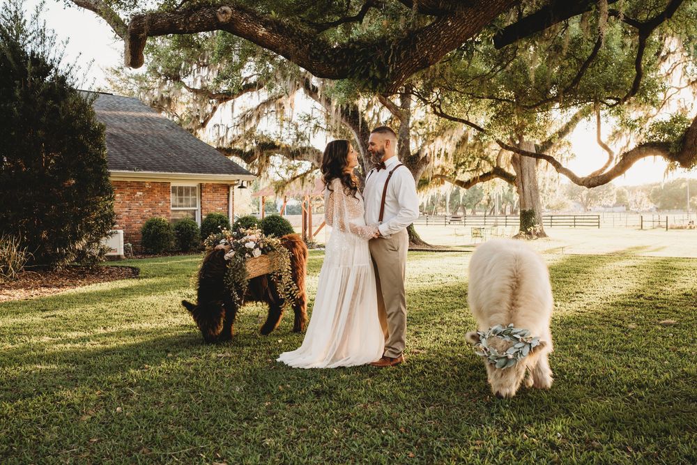 Bride and groom walking in golden light at The Colonial on Sunset