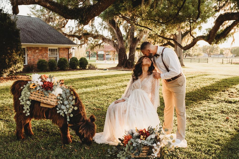 The Colonial on Sunset wedding venue in Florida outdoor ceremony space
