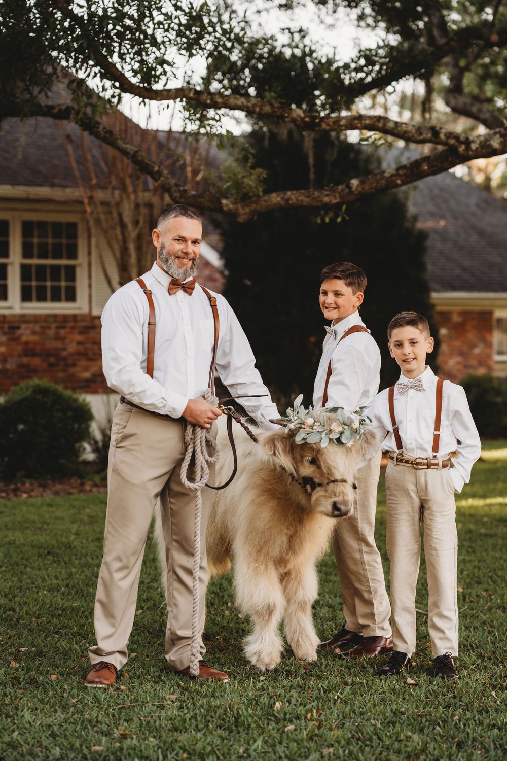 Unique wedding idea with Highland cows in Florida