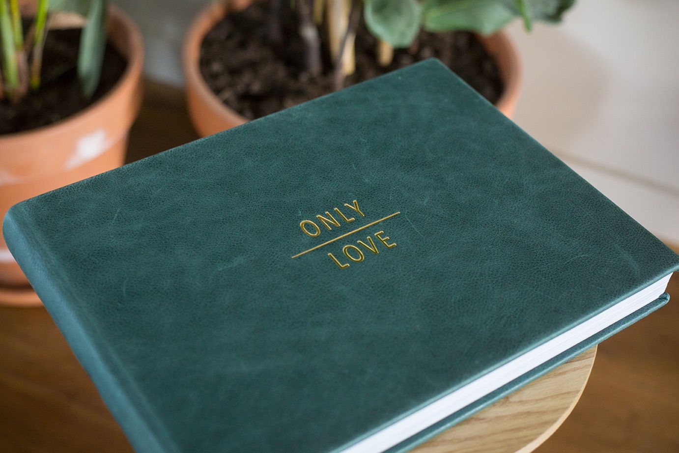 Groen fluwelen trouwalbum met gouden 'Only Love'-reliëf op de cover, naast kamerplanten.