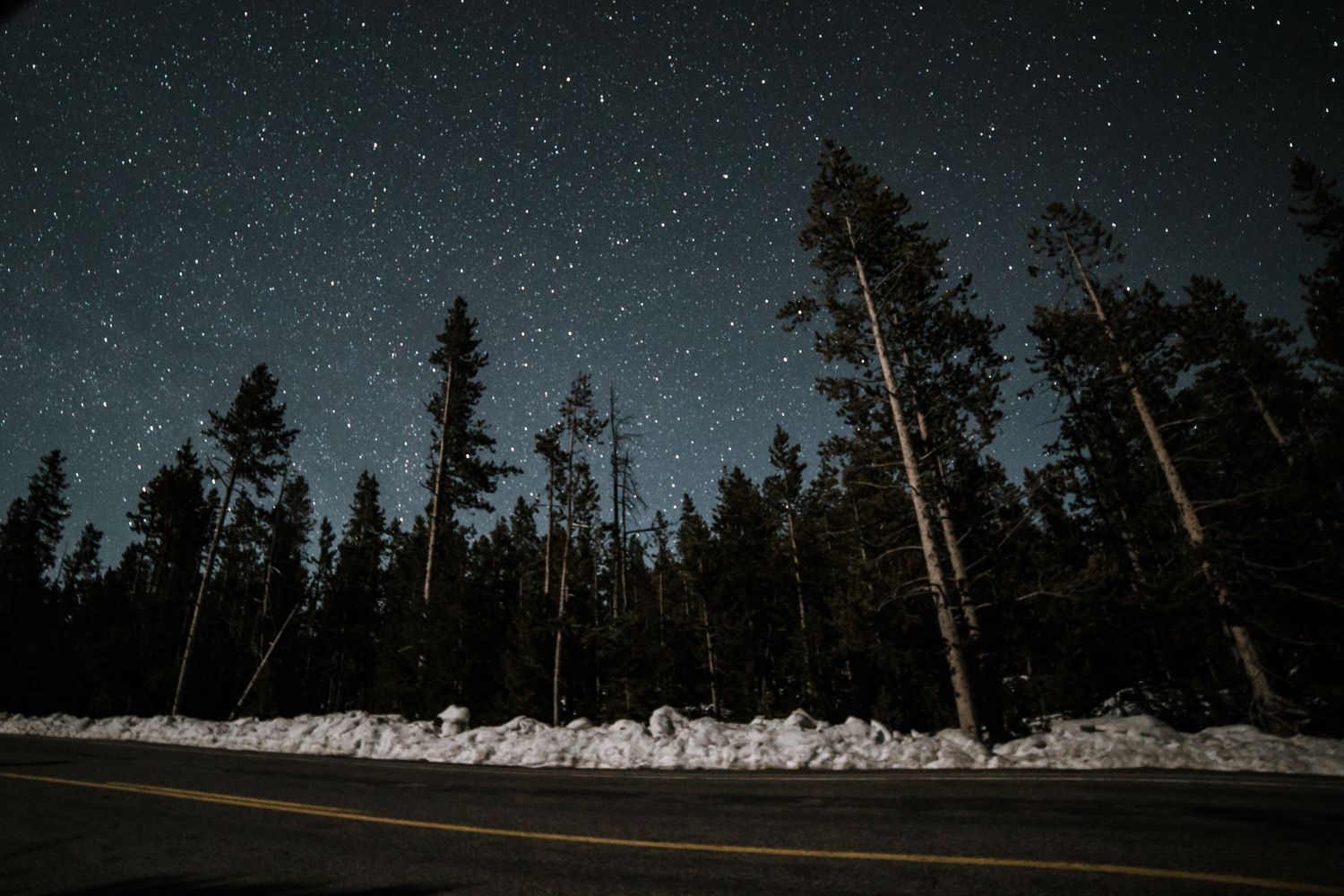 A dark night sky filled with stars stretches above a silhouetted treeline in a panoramic view.