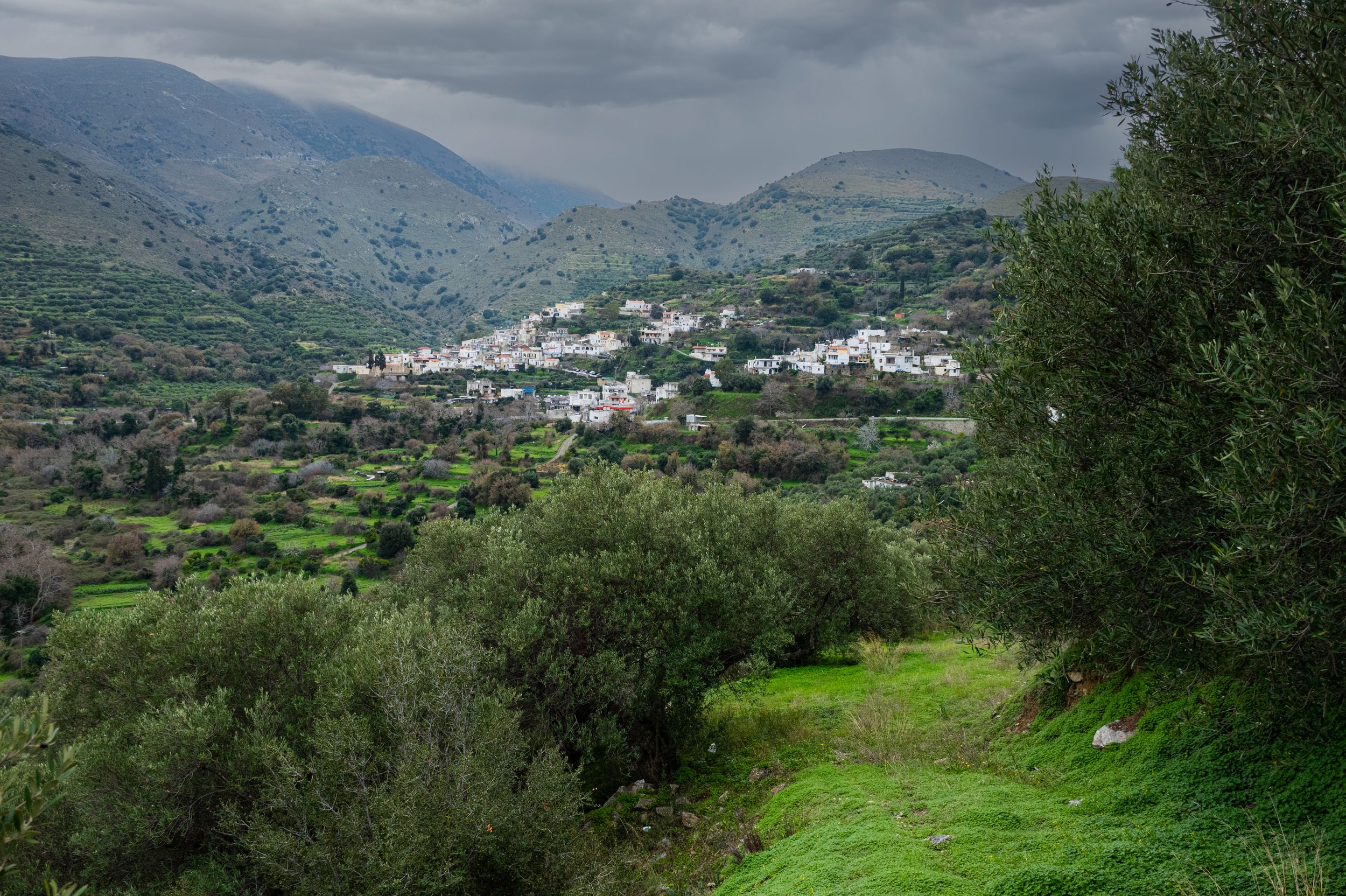 A panoramic mountain landscape view with green hills, olive trees, and white buildings nestled in a Mediterranean valley.