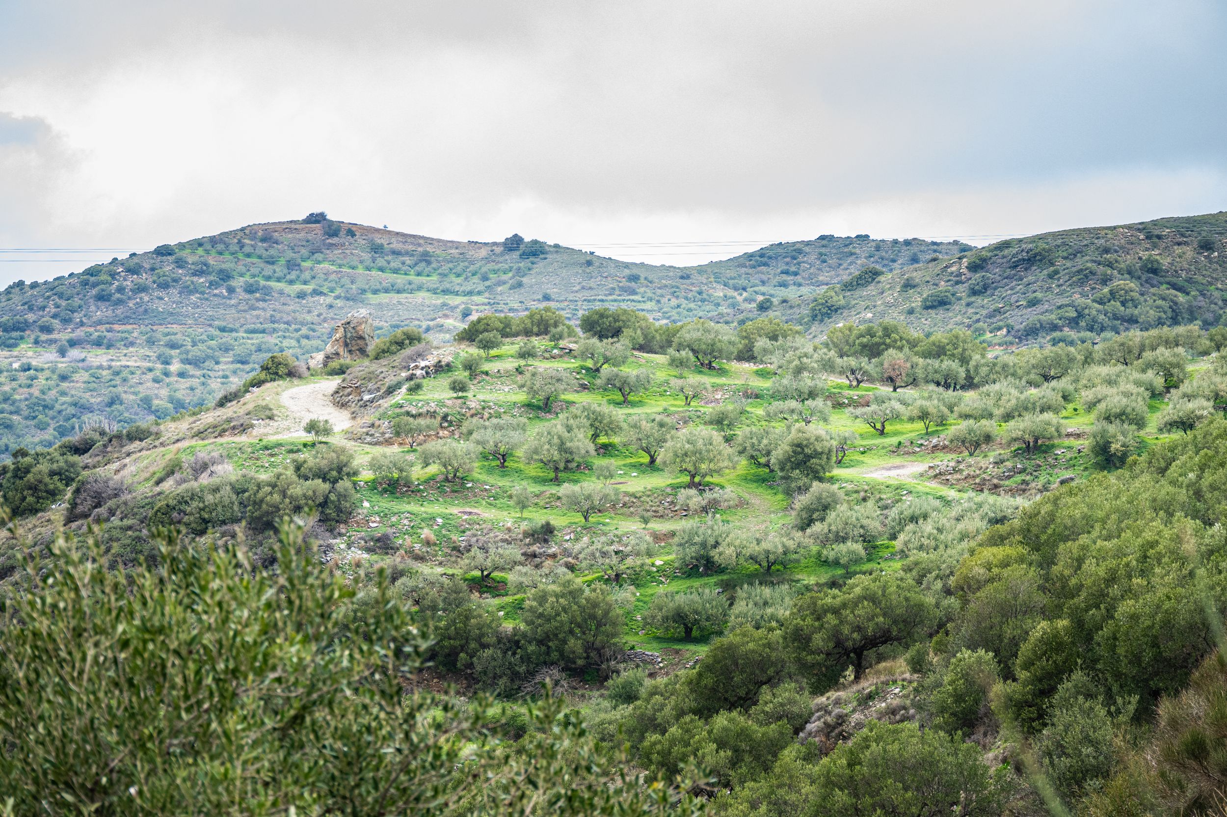 Rolling green hills and mountains covered in Mediterranean vegetation stretch across a scenic coastal landscape.