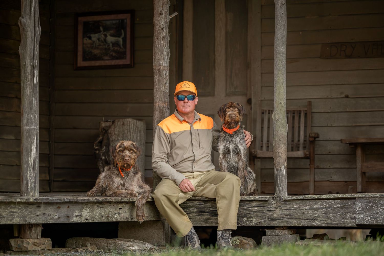 Man in orange hunting gear sits on rustic porch with two German Wirehaired Pointer dogs beside him.