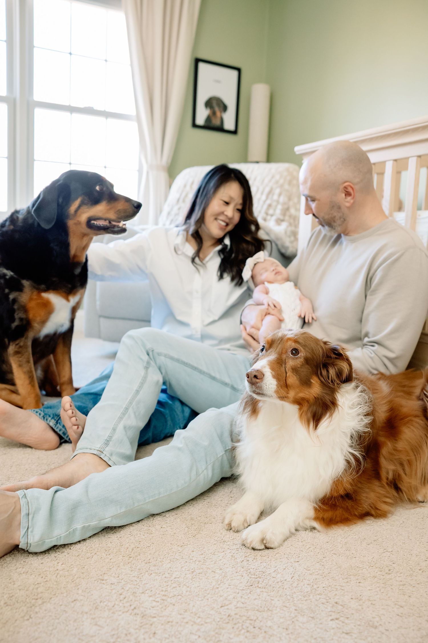 Family with newborn baby sitting on floor with two dogs, Rottweiler and Australian Shepherd, in a cozy nursery room.