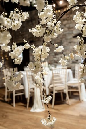Delicate white cherry blossoms hang over elegant white chairs in a romantic indoor wedding venue setting.