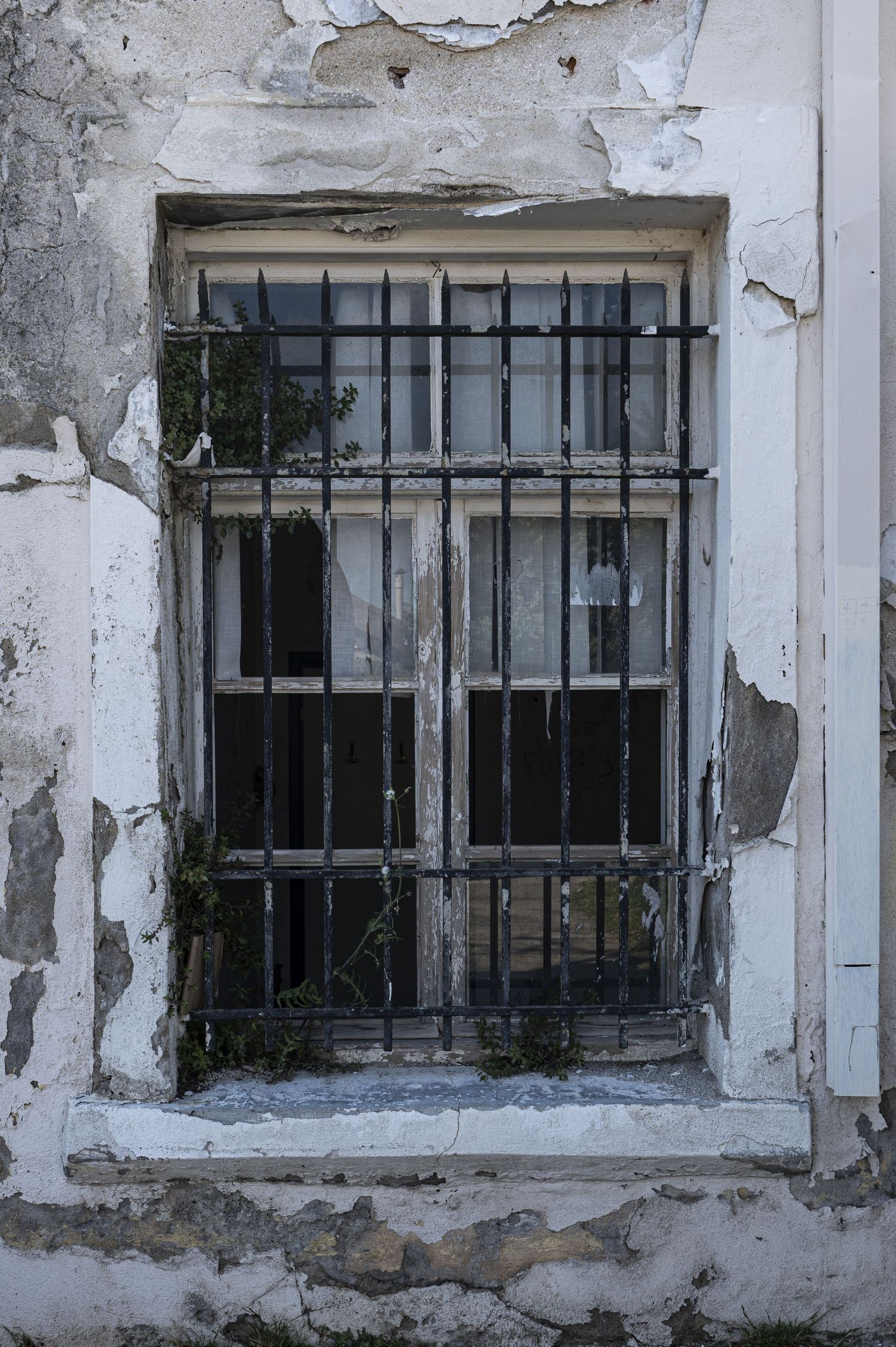 Three old windows with metal bars and peeling paint on a deteriorating white concrete wall.