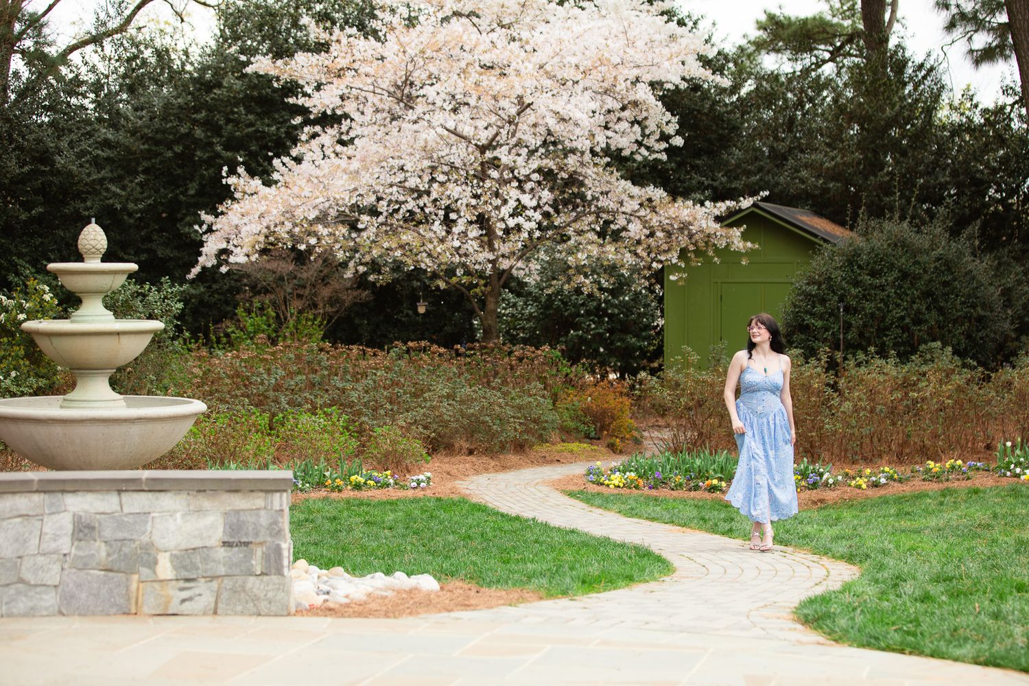 Woman in blue dress walking along garden path near stone fountain with blooming cherry blossom tree in spring at WRAL Azalea Garden