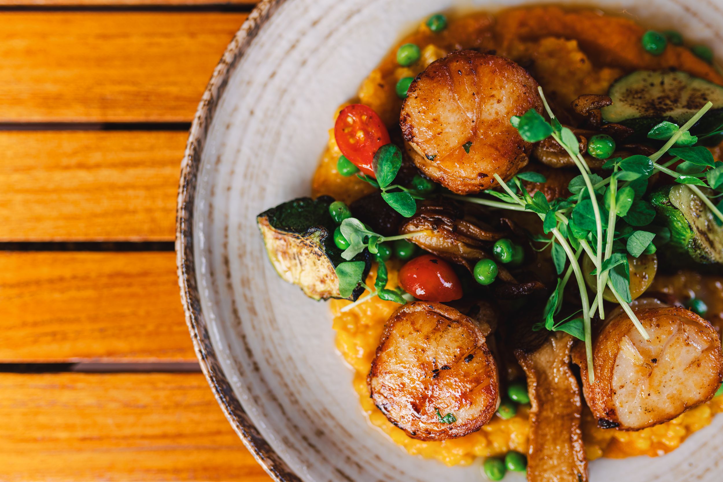 Seared scallops with microgreens served on rustic ceramic plates against a wooden background.