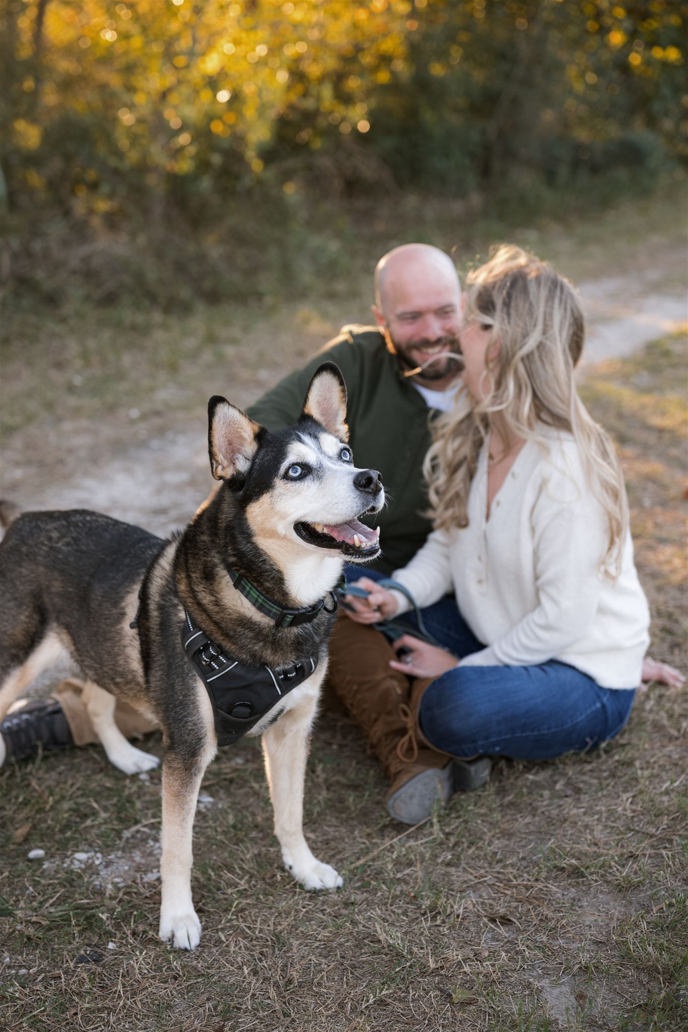 A couple sits outdoors with their Siberian Husky dog wearing a harness, surrounded by golden autumn foliage.