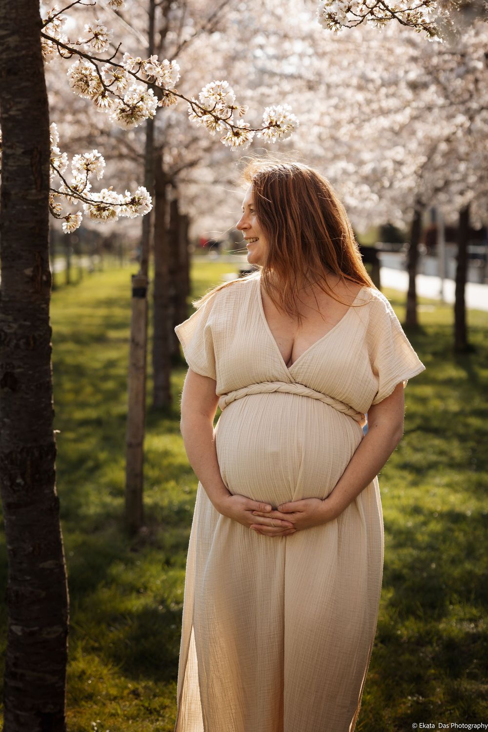 Maternity portraits under cherry blossom trees with woman in cream dress cradling baby bump.