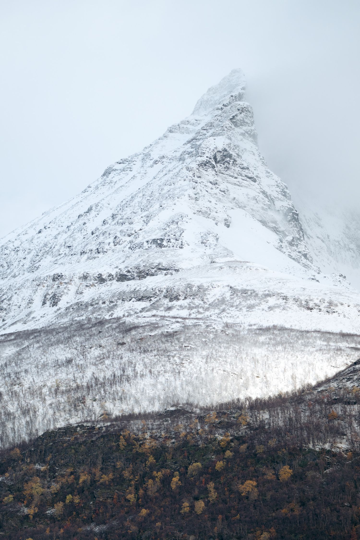 Sommet enneigé des Lyngen en Norvège