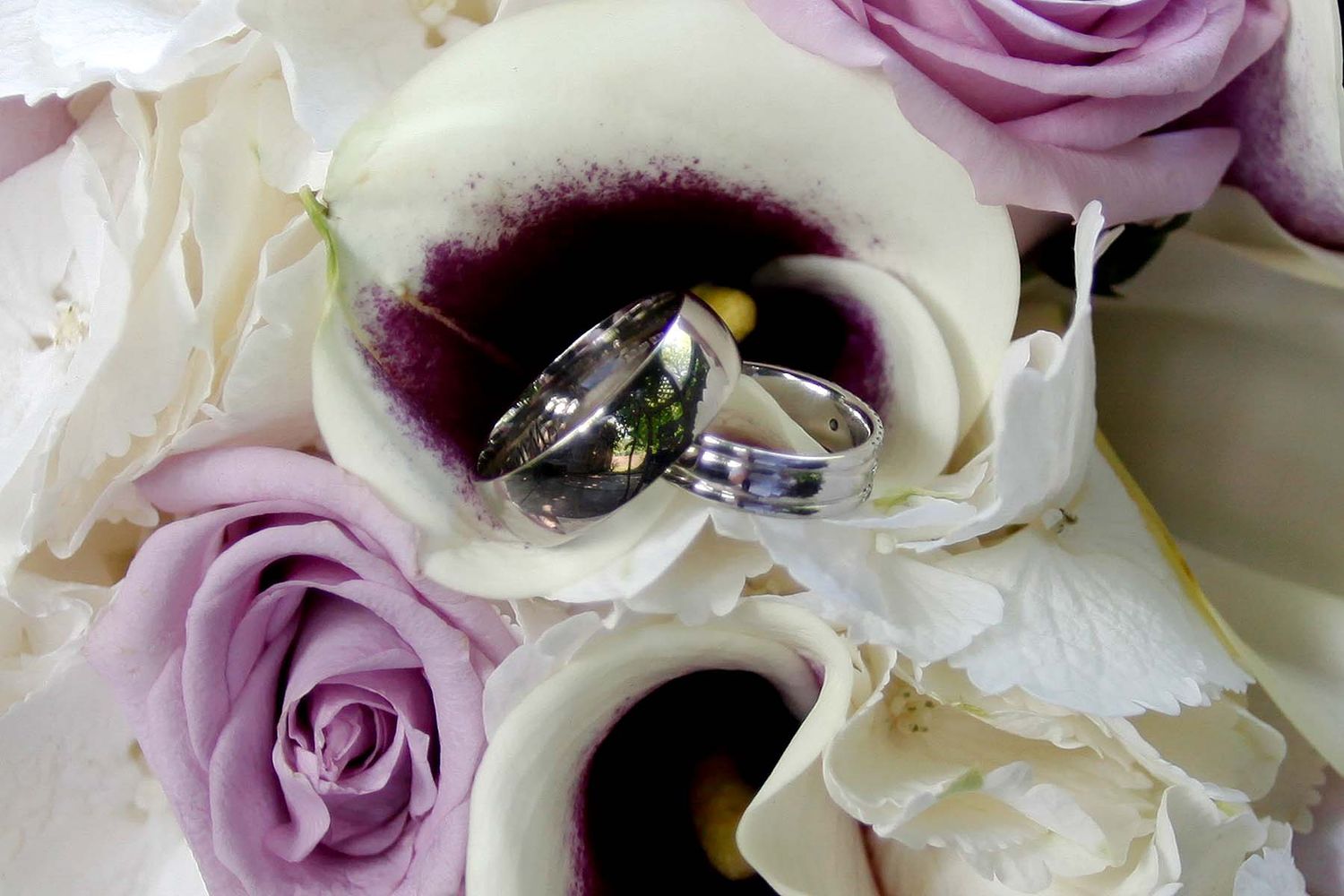 Close-up view of delicate white and lavender roses with water droplets arranged in an elegant bouquet pattern.