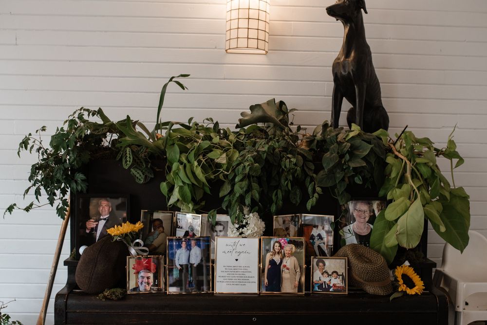 A long white wall decorated with framed photos and plants, with pendant lights illuminating the display.