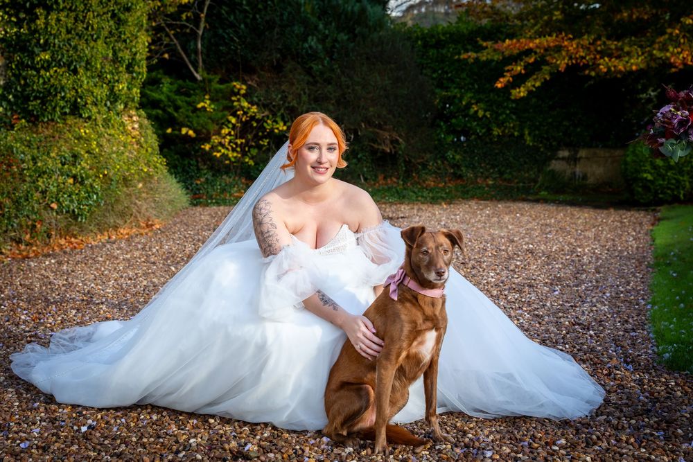 Radiant red-haired bride in white gown poses with brown dog in autumn garden.