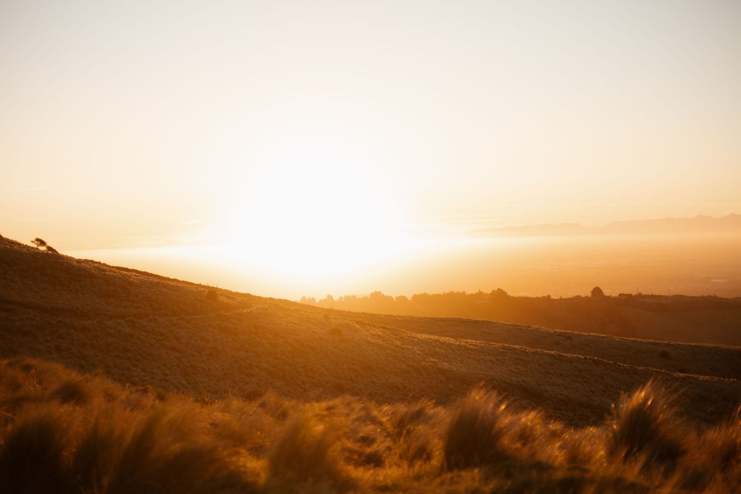 Sunset session at port hills Christchurch