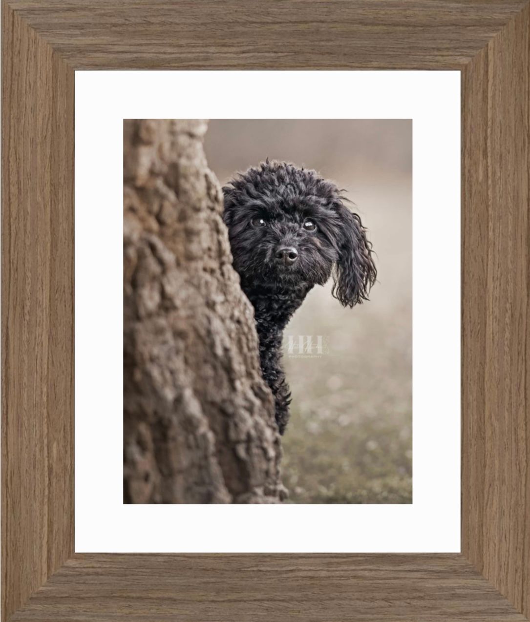 Artistic series showing a black dog peeking from behind tree bark in sepia tones.