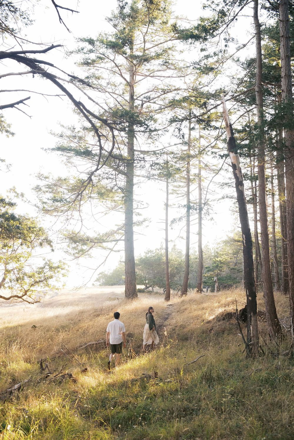 Hornby Island Elopement Photographer. Wedding. Documentary. Storytelling.
