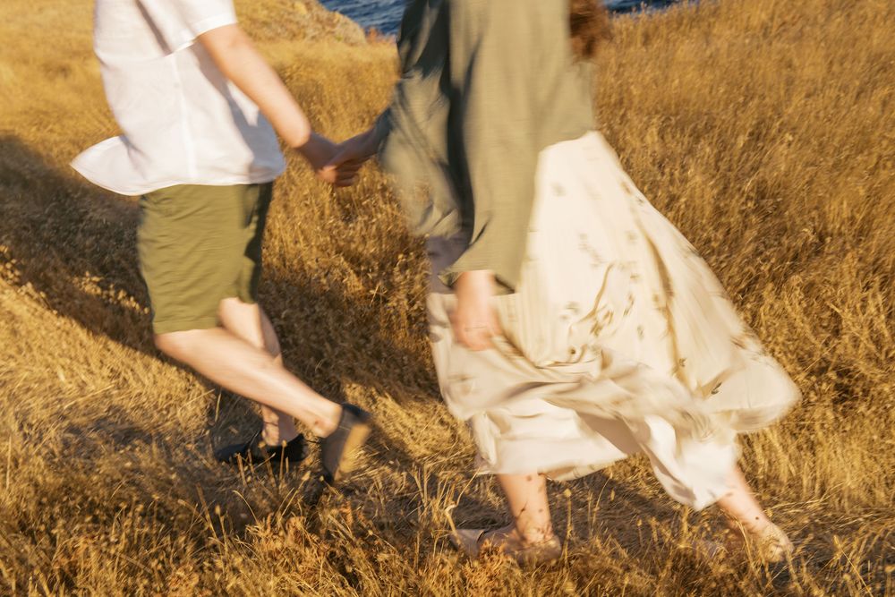 A dog and person play together in a golden wheat field during sunset.