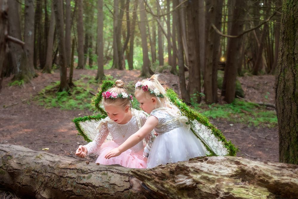 Two young children in fairy costumes explore a fallen log together in a magical forest setting.
