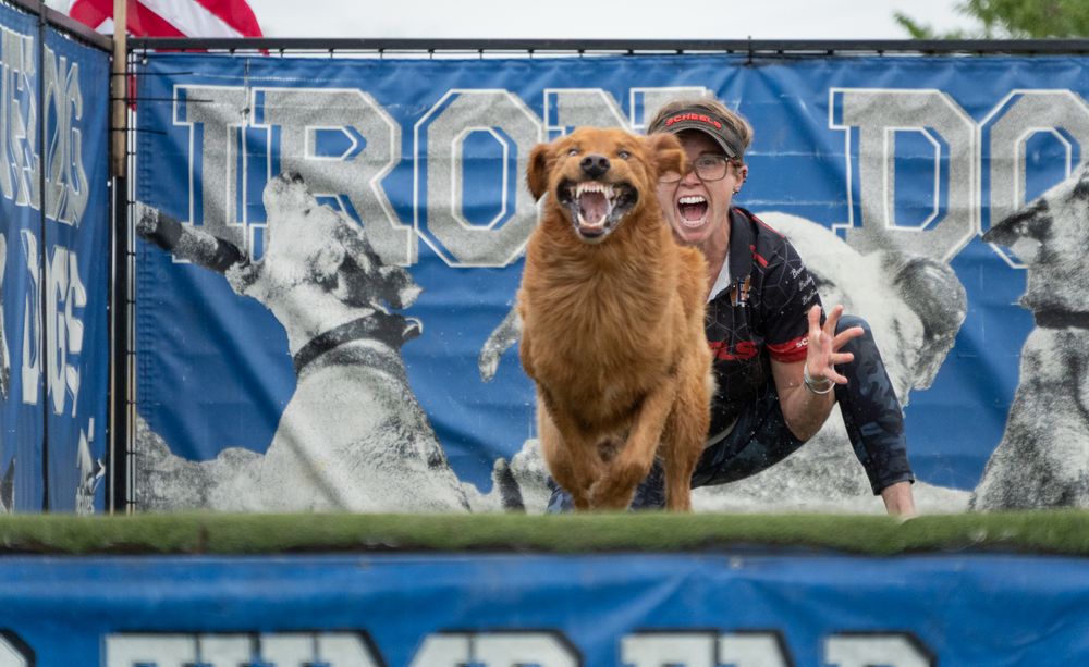 A woman and her golden retriever dog compete together at a DockDog competition event outdoors.