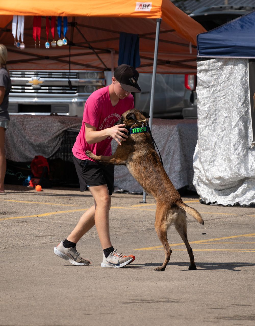 A person in a pink shirt and black cap interacts with a brindle dog jumping up at an outdoor event.