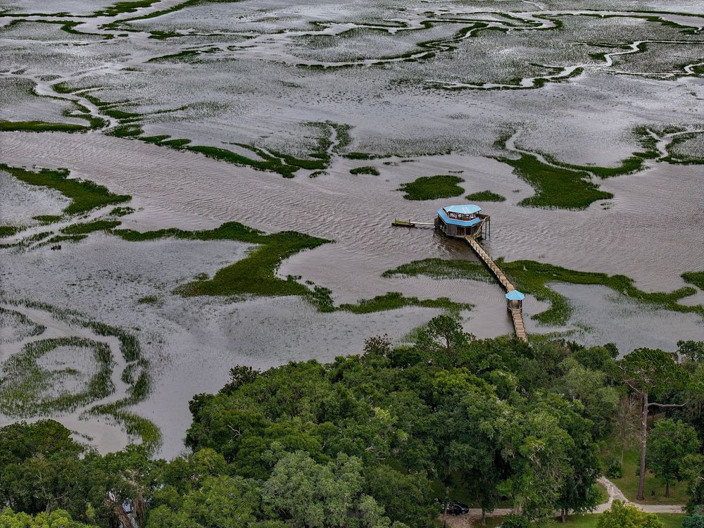 Aerial view of coastal marshland with winding waterways and green vegetation.