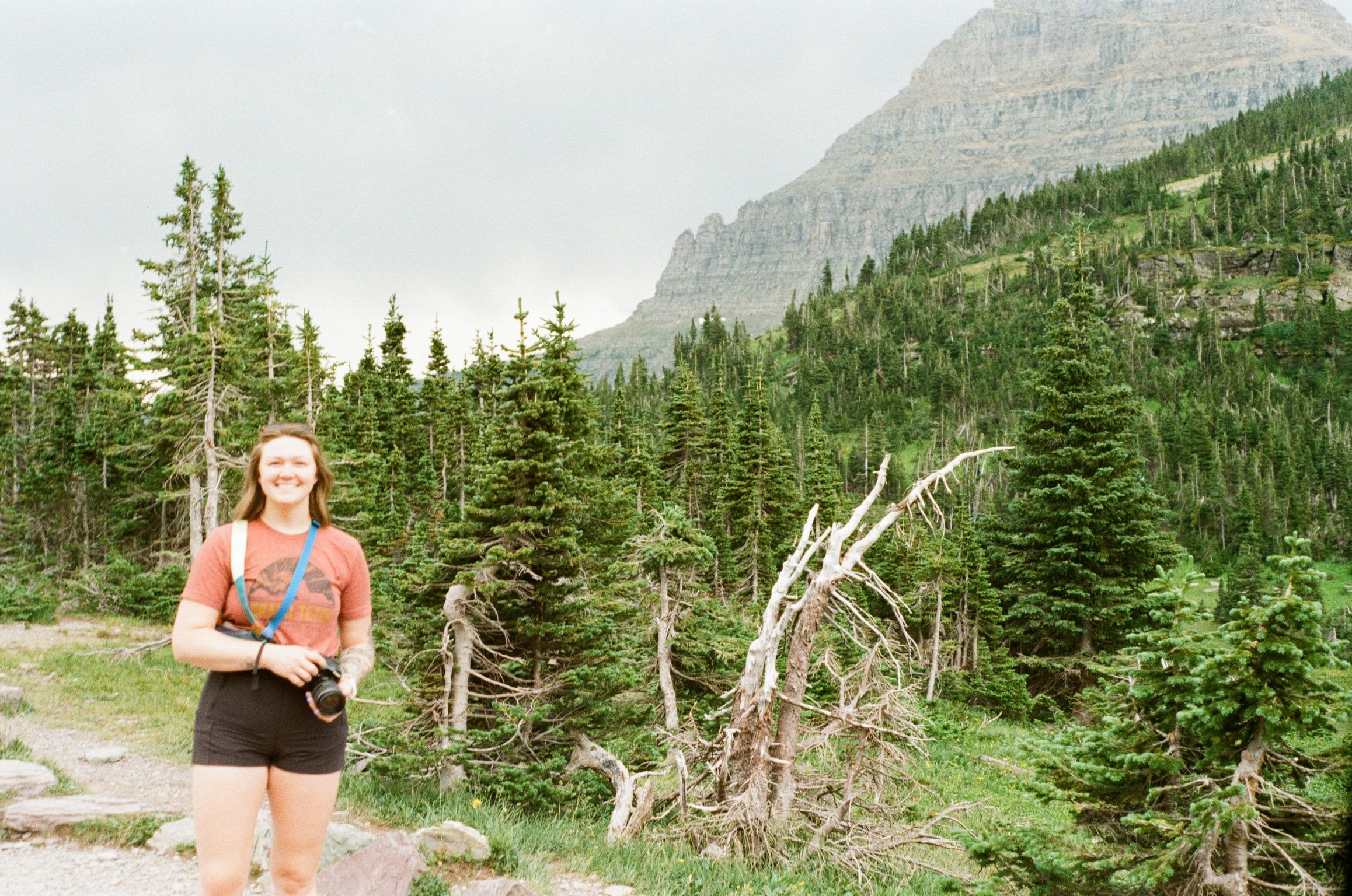 Scenic mountain trail surrounded by evergreen trees and rocky cliffs in a national park setting.