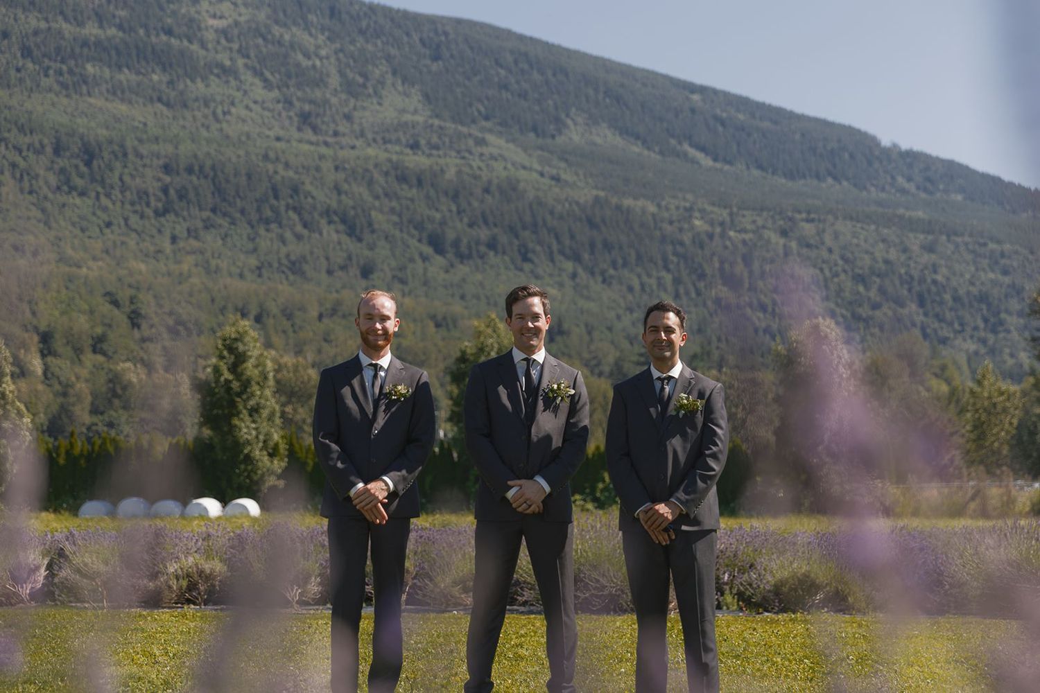 Three groomsmen in grey suits stand proudly in a lavender field with a mountain backdrop.