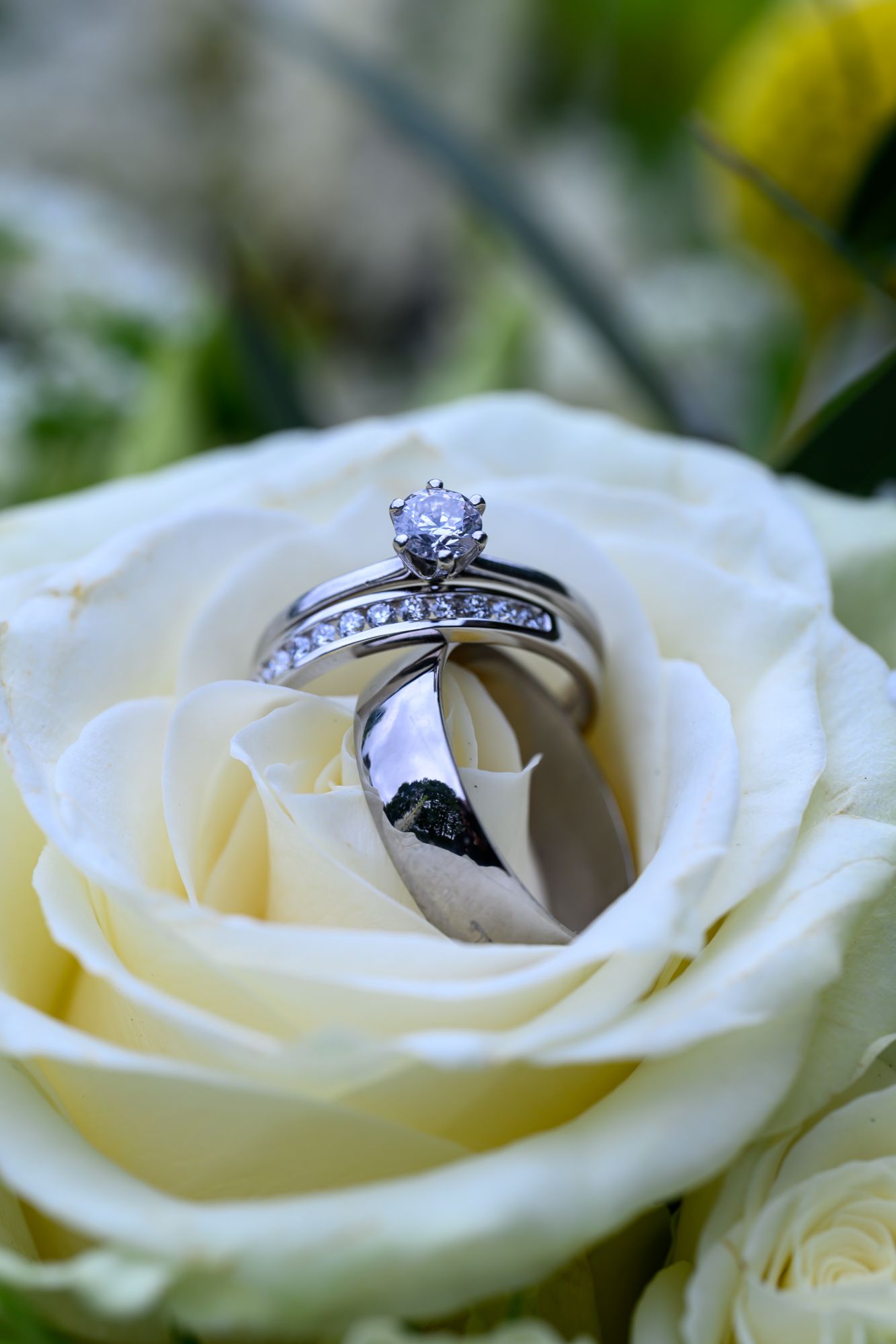 Holdsworth House wedding photographer