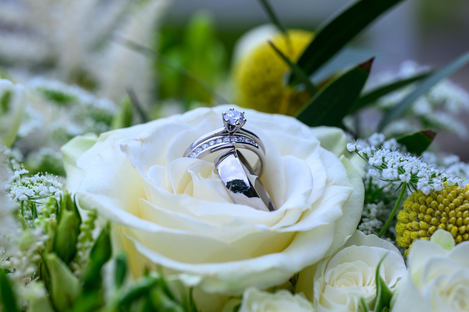 Holdsworth House wedding photographer