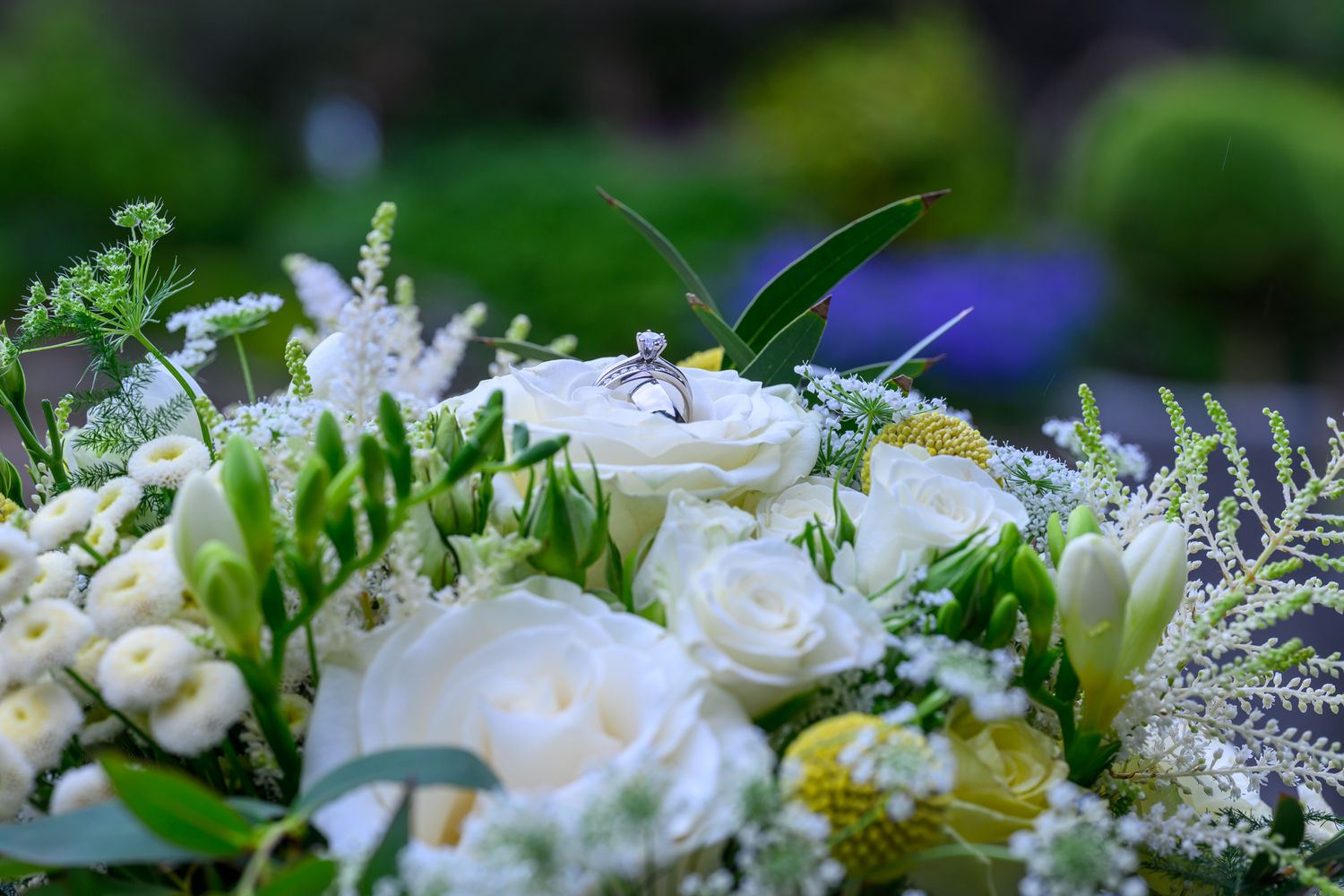 Holdsworth House wedding photographer