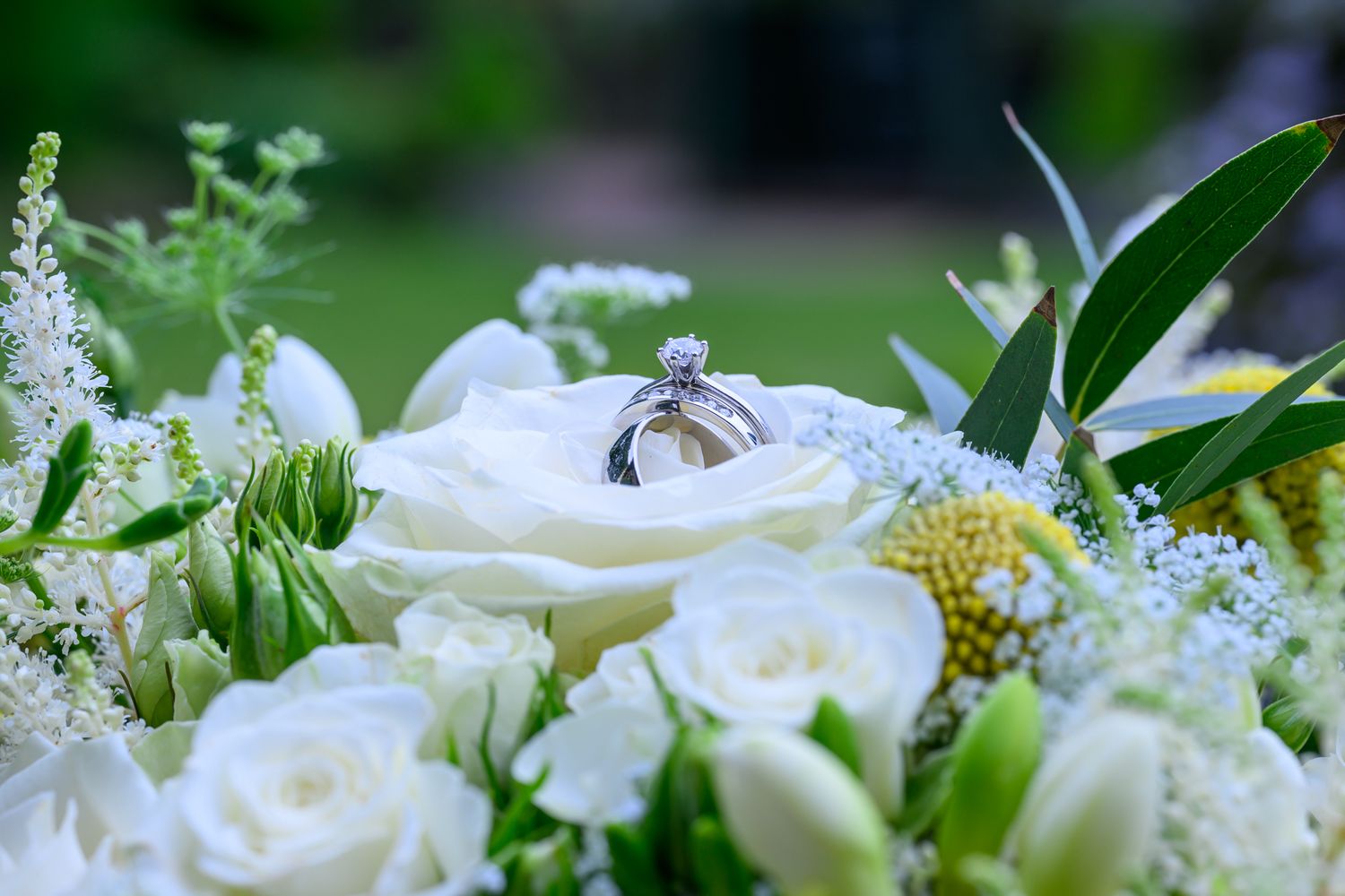Holdsworth House wedding photographer