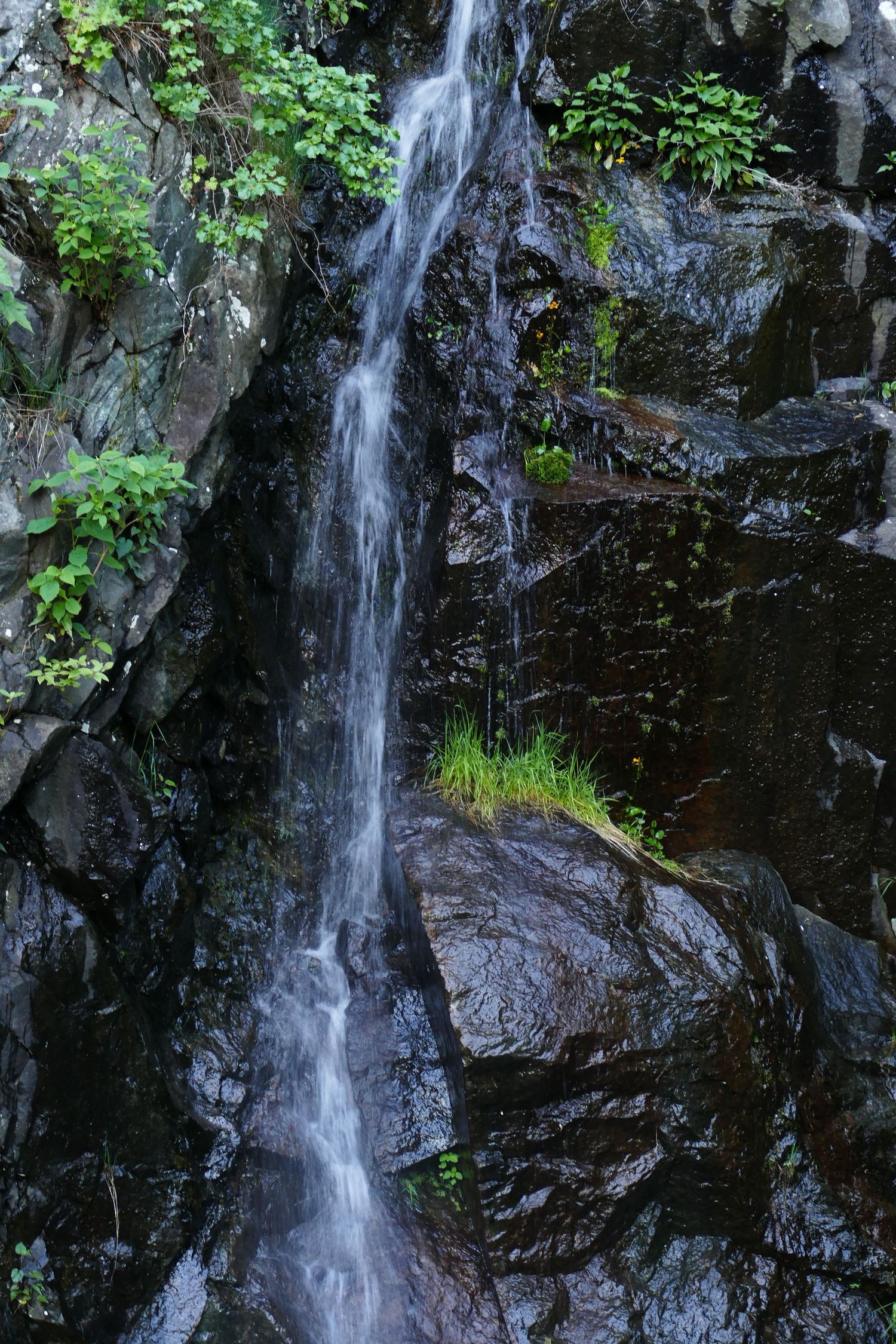 Waterfall near Marys Rocks tunnel on Skyline Drive Shenandoah National Park