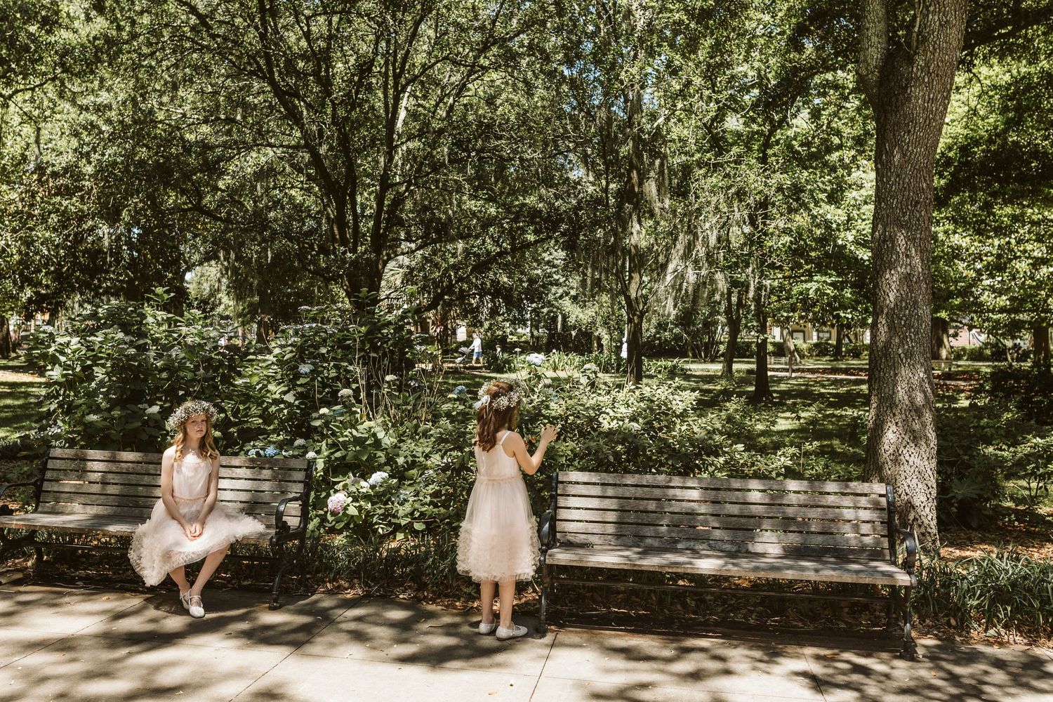 Two people sit on separate benches in a sunlit park surrounded by lush green trees and foliage.