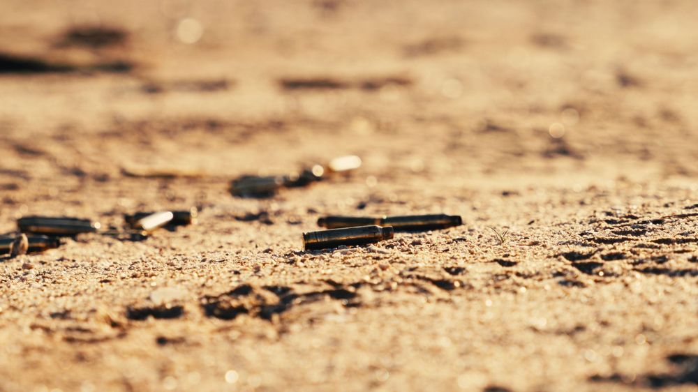 A close-up macro shot of a line of small black ants marching across a sandy brown surface.