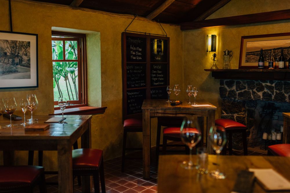 Cozy wine tasting room interior with natural light streaming through windows.