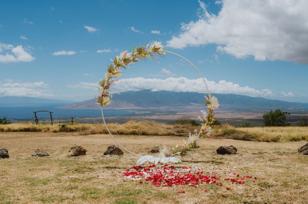Scenic desert landscape with mountains and scattered rose petals on dry ground.