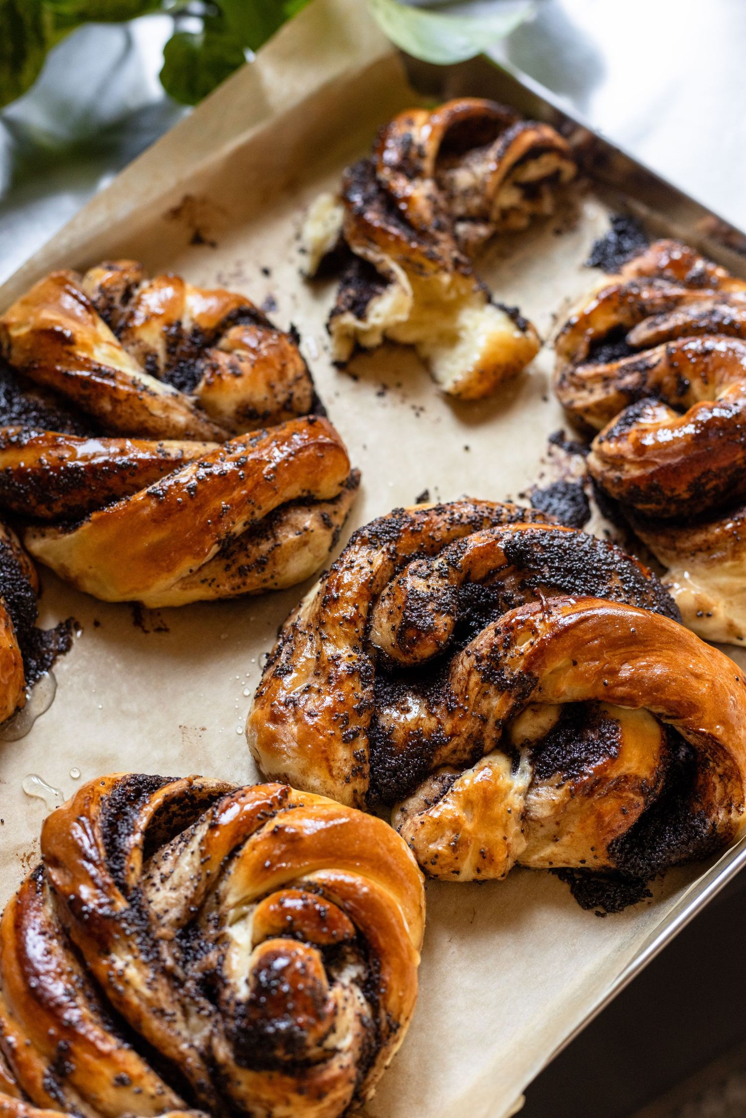 Freshly baked chocolate babka pastries with swirls of dark chocolate and caramelized edges on parchment paper.
