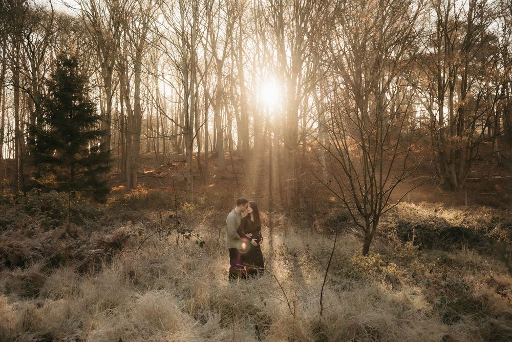 Misty forest landscape at sunset with sunlight streaming through bare winter trees.