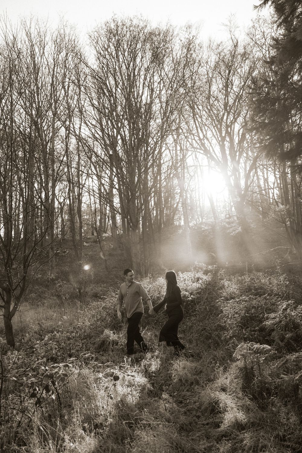 Silhouettes of figures walking through a misty forest path at sunset with ethereal light filtering through bare trees.