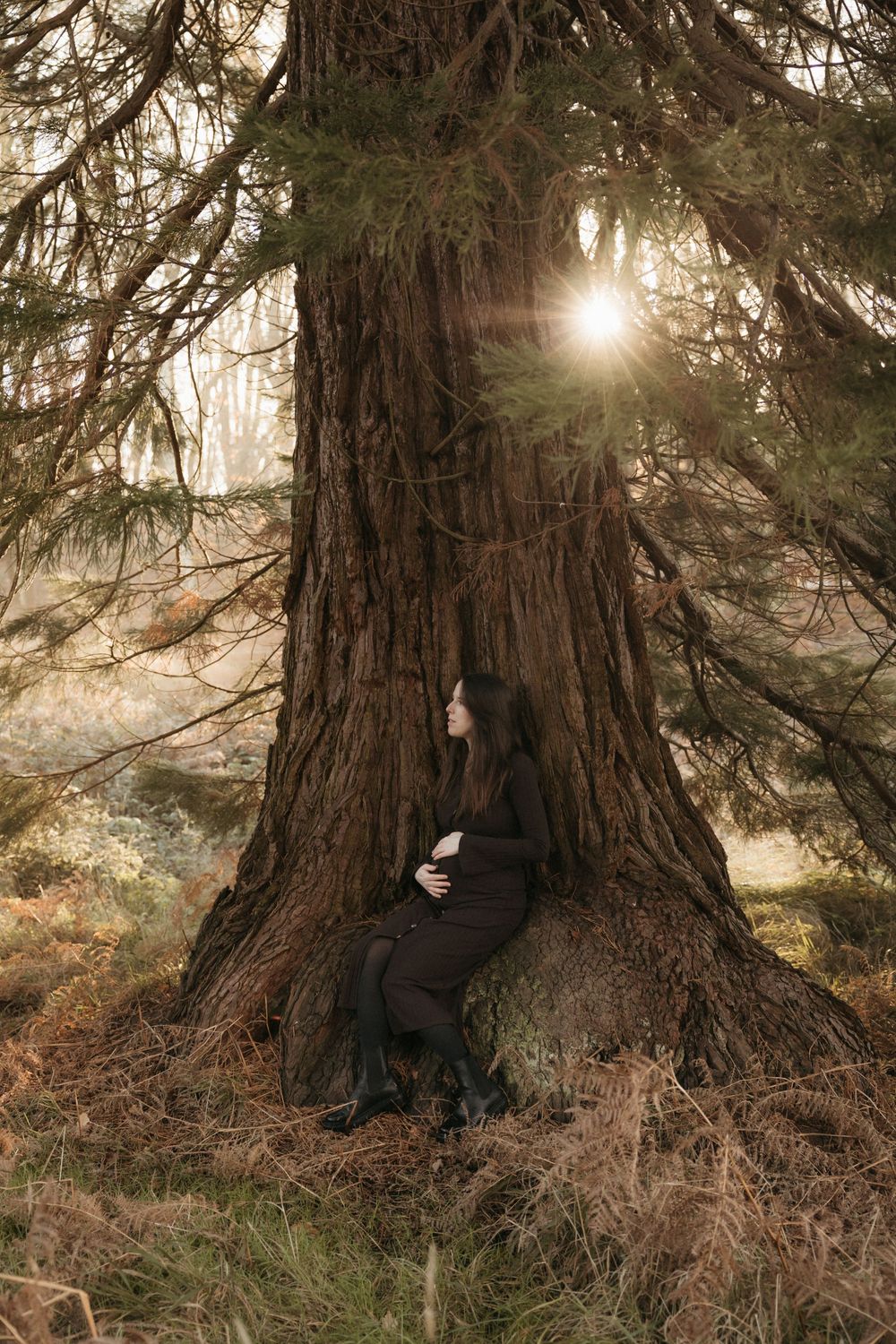 Dark figures nestled against massive tree trunks in a moody forest setting with sunlight peeking through.