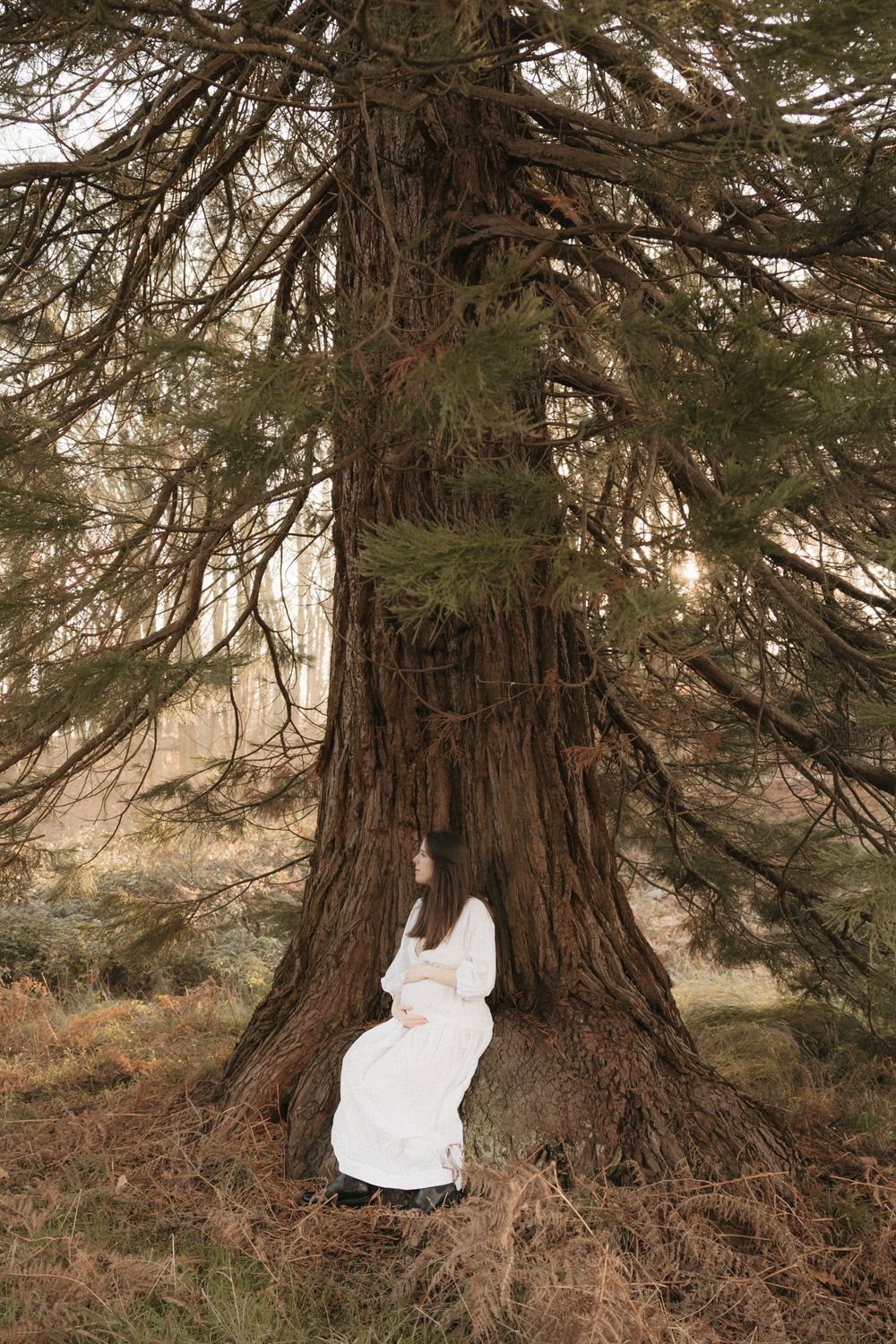 Figure in flowing white dress sits peacefully against massive ancient redwood tree trunk in misty forest.
