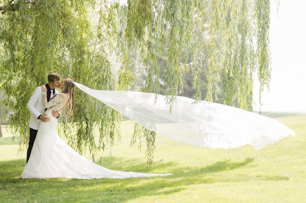 A flowing veil catches the sunlight beneath weeping willow trees during an outdoor wedding.
