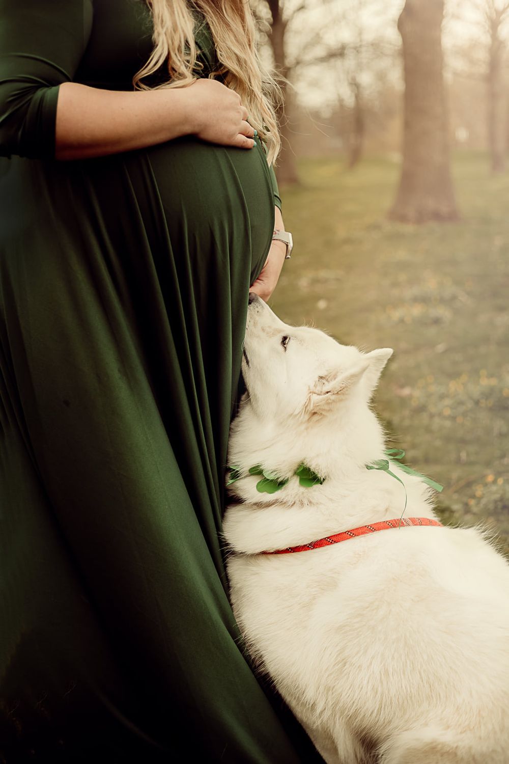 White dog looking up at pregnant woman wearing green dress in forest setting.