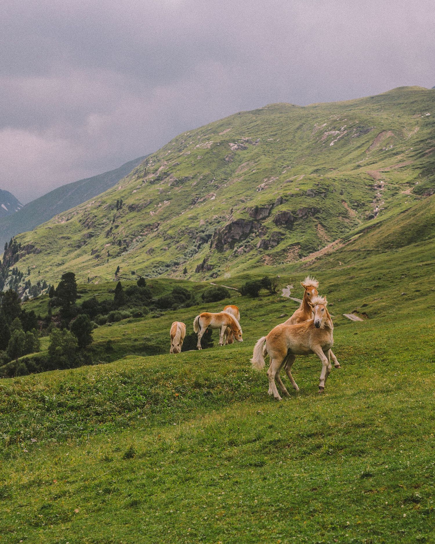 Sandra Murray x Bad Gastein